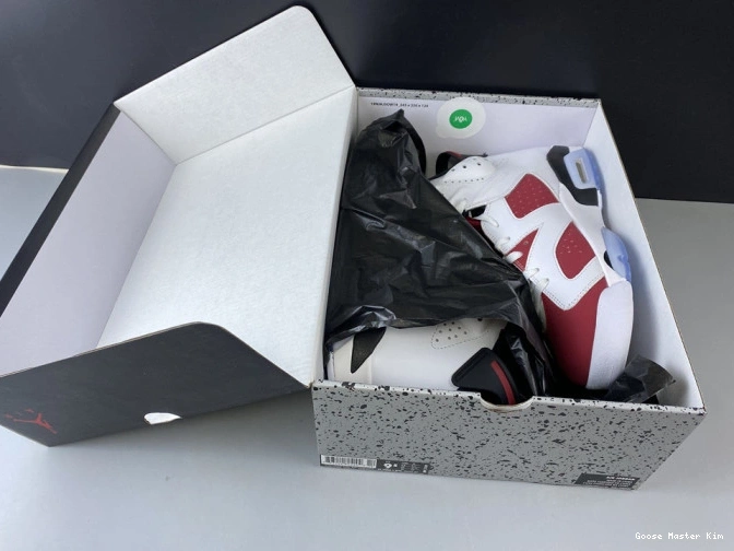384664-160 6 JORDAN 2014 'CARMINE' RETRO AIR 0824